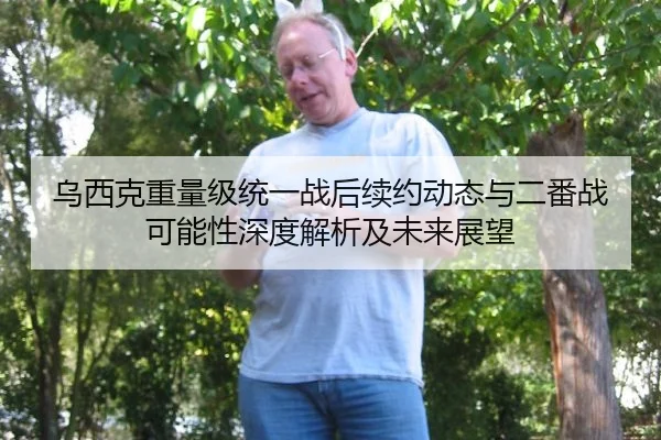 乌西克重量级统一战后续约动态与二番战可能性深度解析及未来展望